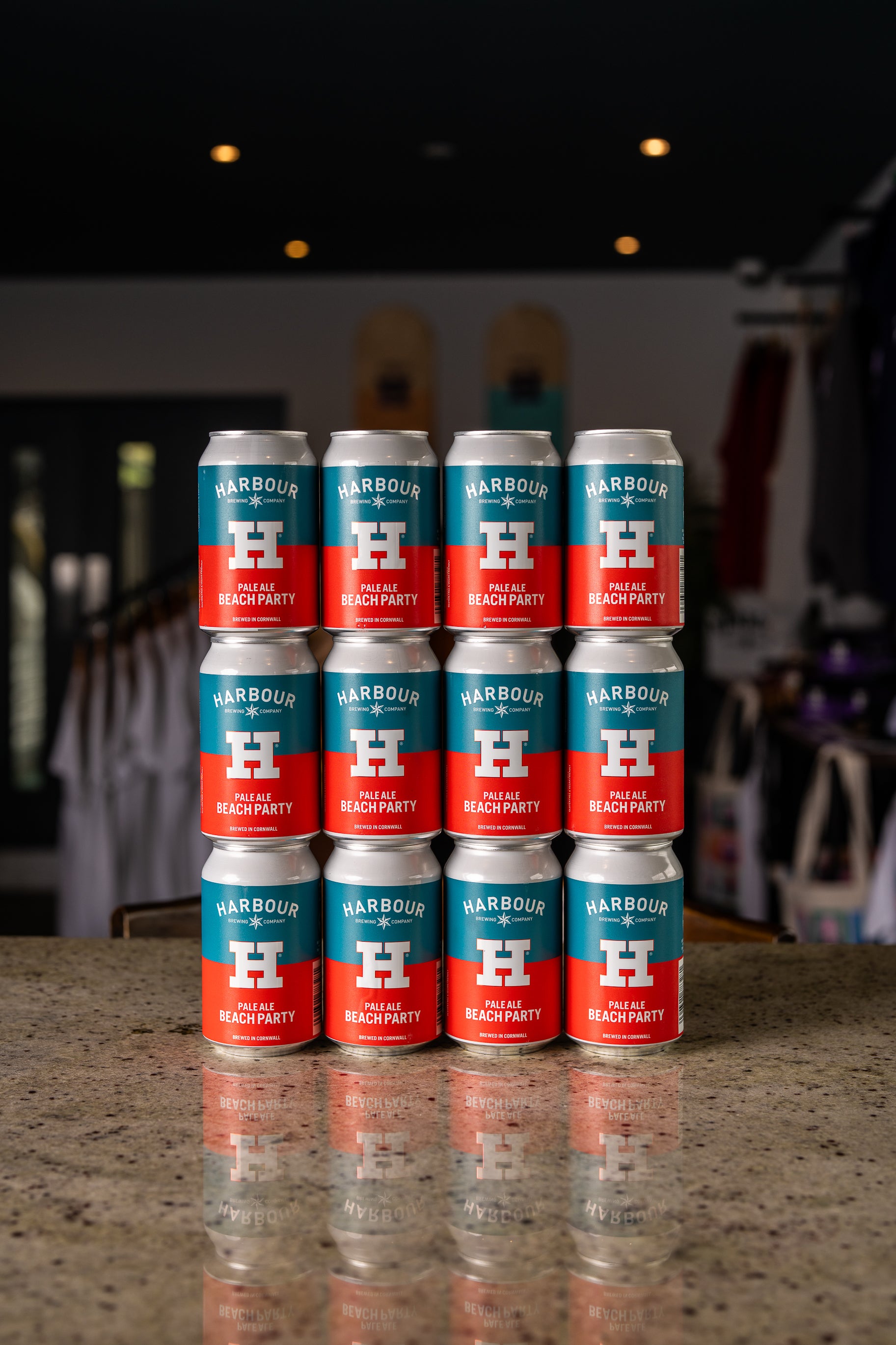 BEACH PARTY PALE ALE (12)