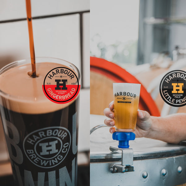 Catch the Festive Wave