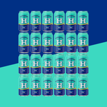 Session IPA (24) (Arctic Sky)