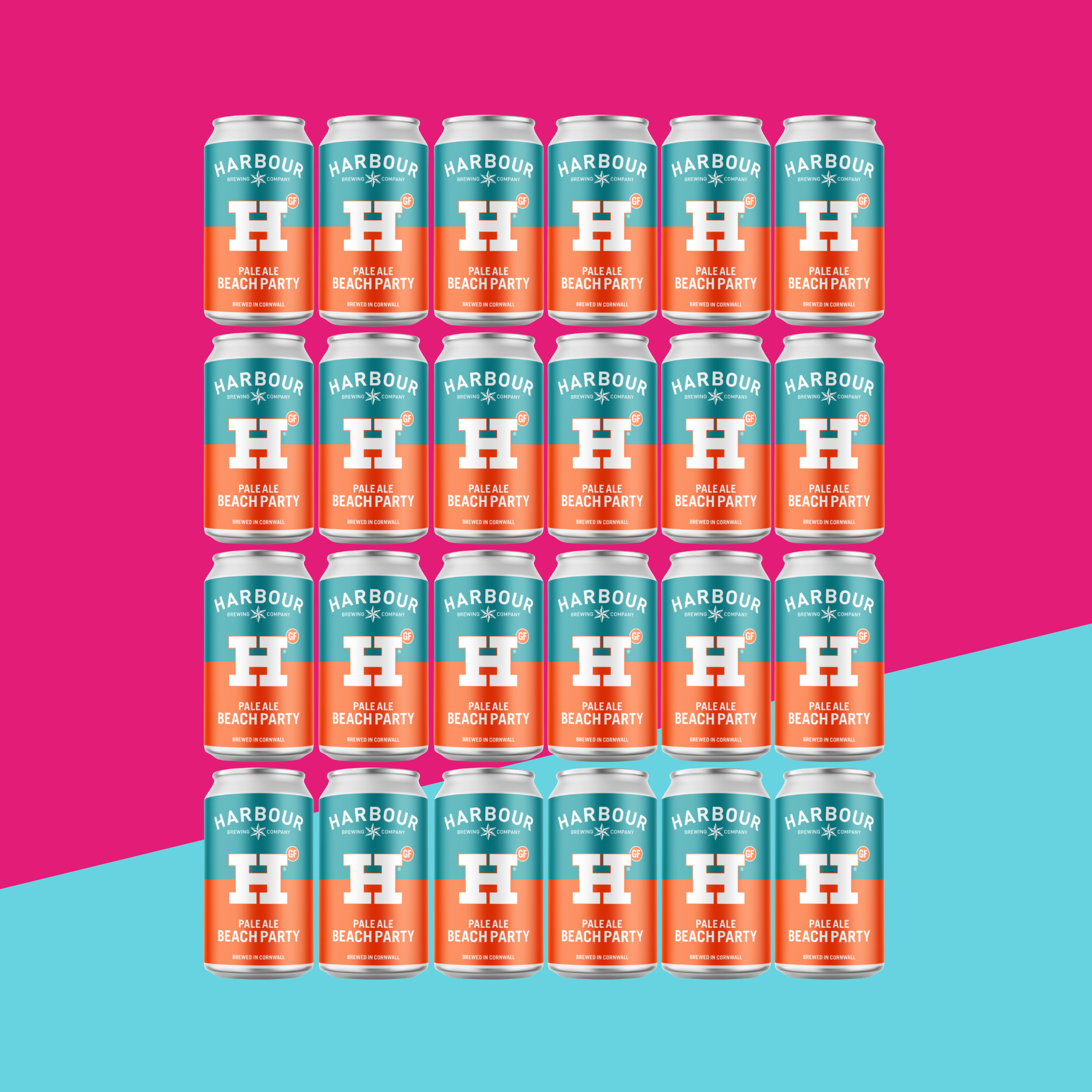 Bright Pale Ale (24)