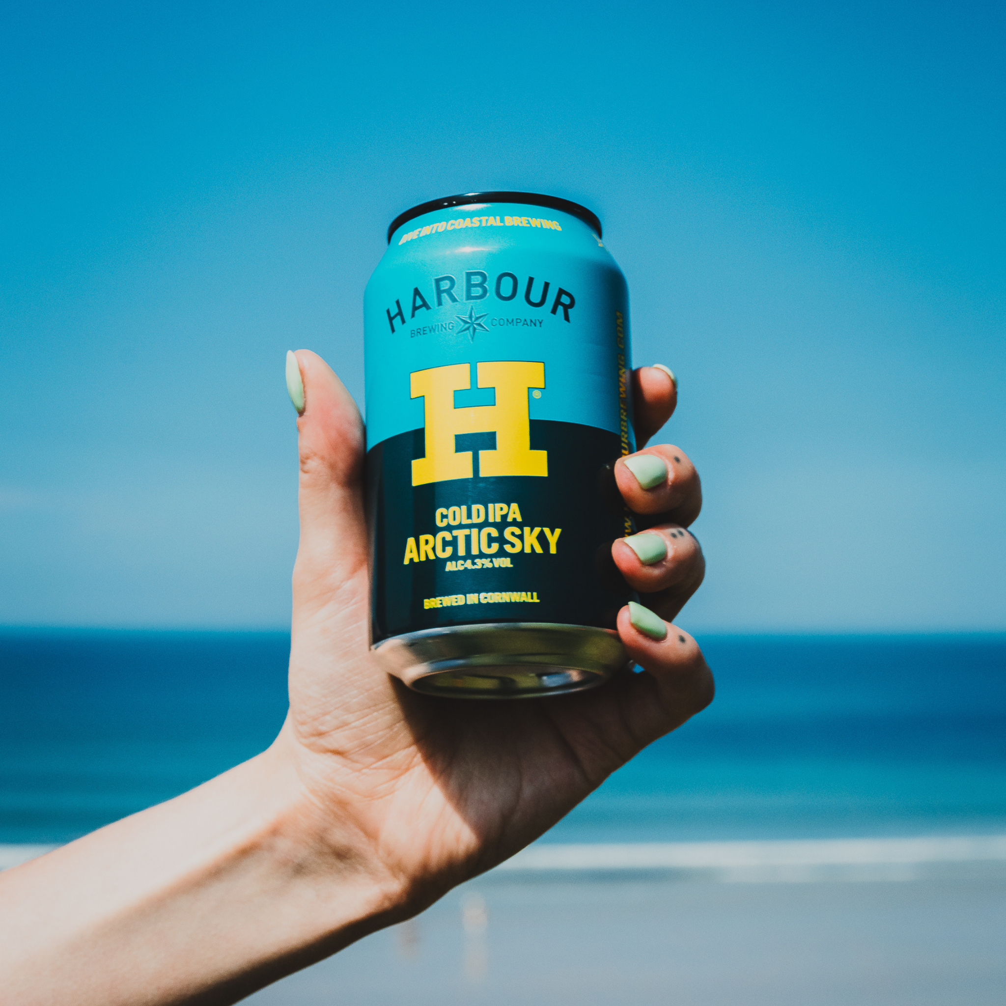 Session IPA (Arctic Sky)