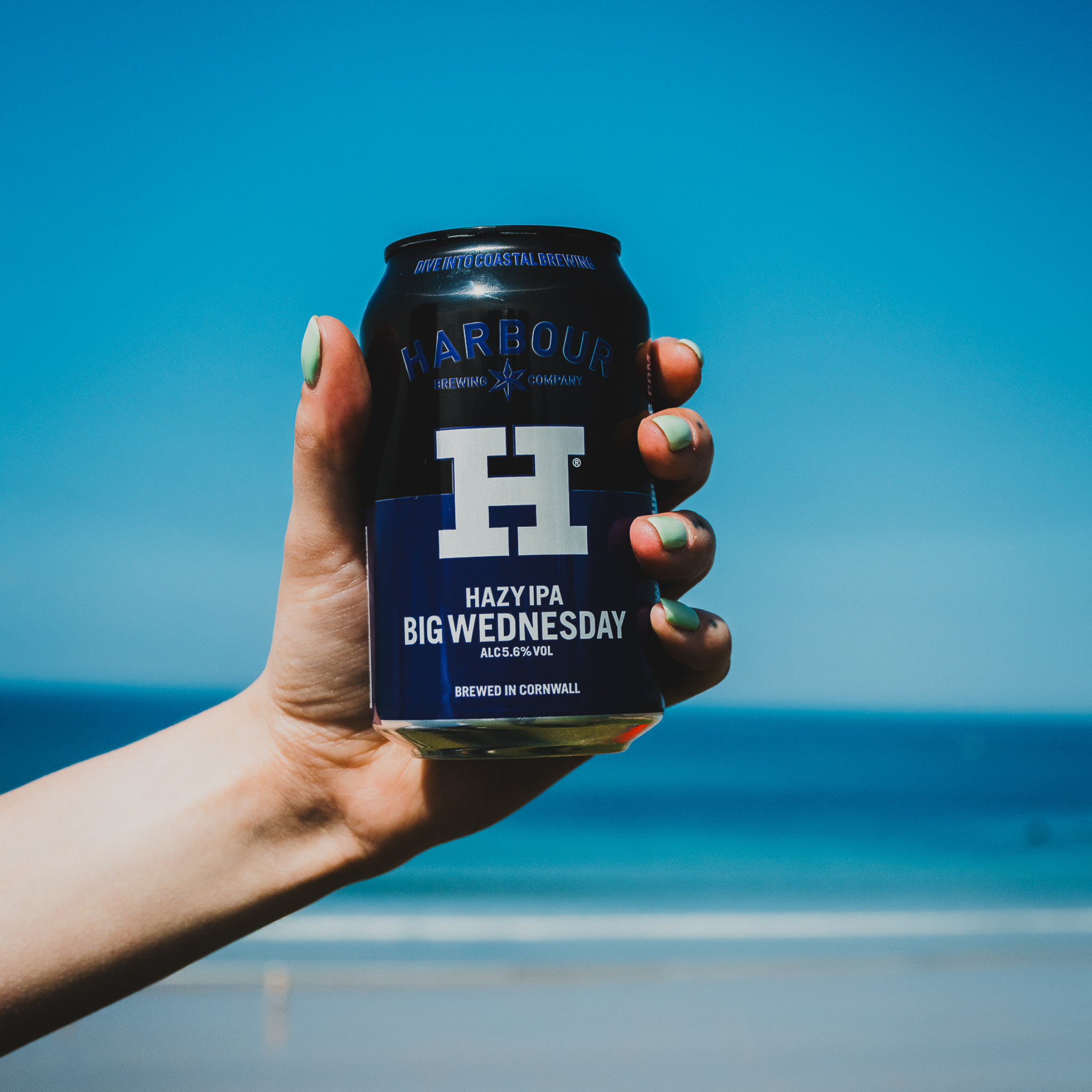 Hazy IPA (Big Wednesday)