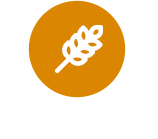 Gluten Free